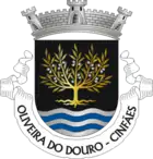 Wappen von Oliveira do Douro