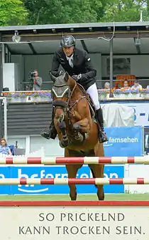 Marc Houtzager mit Calimero, CSIYH* Wiesbaden 2015