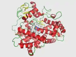 Cytochrom P450 2D6
