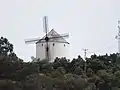 Windmühle