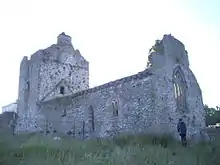 Ruine der Cahir Abbey