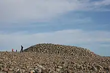 Mølen
