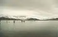 Der See im Januar