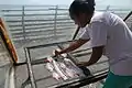 In der Sonne werden die Fische zum Trocknen ausgelegt