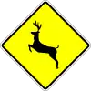 Wildwechsel