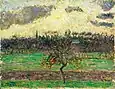 Le Pommier, soleil couchant, Éragny