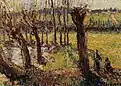 Les Saules en hiver, Éragny