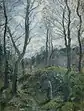 Paysage avec de grands arbres