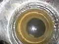 Verbindungsschachtmit der Cloaca Maxima