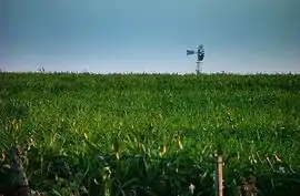 Feld in Bella Unión
