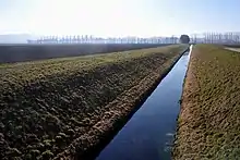 Canal d’Entreroches in der Ebene südlich des Neuenburgersees, Blick nach Norden