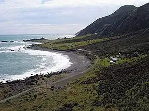 Küste an der Palliser Bay