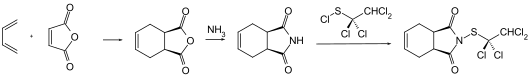 Synthese von Captafol