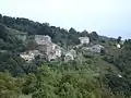 Carbonaccia