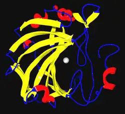 Α-Carboanhydrasen