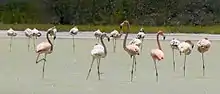 Parque Nacional Jaragua