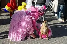 Foto einer ganz in Rosa gekleideten Frau mit federbesetztem Rock und rosa geschminktem Gesich, die sich zu einem Hund beugt, der ebenfalls einen mit rosa Federn besetzen Umhang trägt.