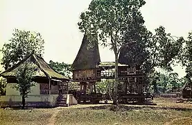 Tutuala, 1966