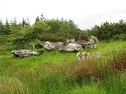 Wedge Tomb von Casheltown
