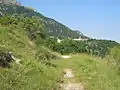 Feldweg