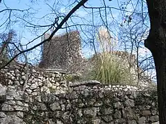 Ruine von Castel Albano