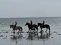 Strandreiter am Atlantik bei Sarzeau
