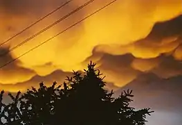 Mammatus nach einem nächtlichen Gewitter über dem Moseltal, 29. Mai 2000