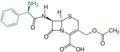 Cefaloglycin