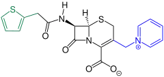 Cefaloridin