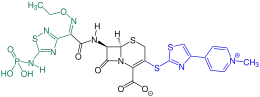 Ceftarolinfosamil