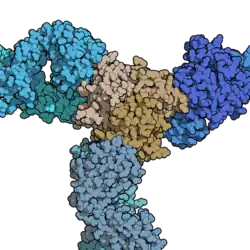 Certolizumab pegol