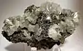 Sulfid Galenit (dunkel) mit carbonatischem Cerussit (hell) aus der Tsumeb Mine (Tsumcorp Mine), Tsumeb, Namibia