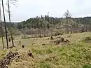 Straße von Rudoltovice nach der Wüstung Nový Mlýn