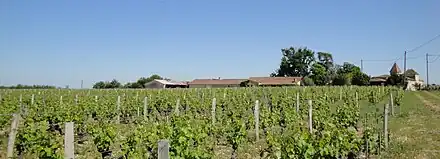 Château Rabaud-Promis