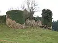 Burgruine Dyo – Türme