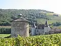 Schloss La Palud