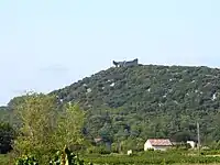 Burgruine