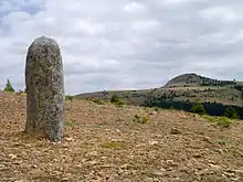 Menhire auf dem Cham des Bondons