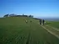 Chanctonbury Ring