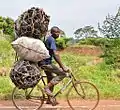 Nutzung als Transportmittel, Lieferung von Holzkohle (Uganda)