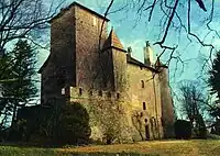 Burg