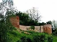 Befestigungsreste des Schlosses, dem Châtillon seinen Namen verdankt