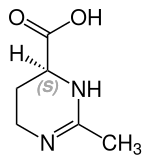 Strukturformel von Ectoin