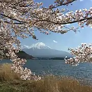 Blick vom Kawaguchi-See auf den Fuji-san