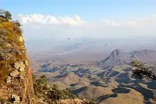 Chihuahua-Wüste