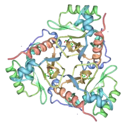 Chloramphenicol-Acetyltransferase
