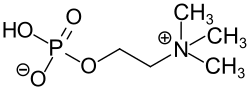 Strukturformel von Phosphorylcholin
