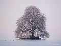 Winterliche Ansicht