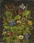 Wildblumen, zwischen 1821 und 1872