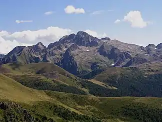 Cima d’Asta